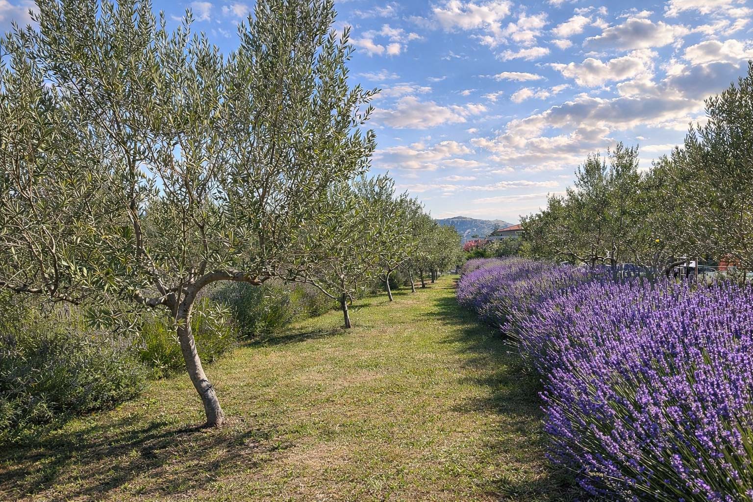 small and intimate wedding villa in Istria