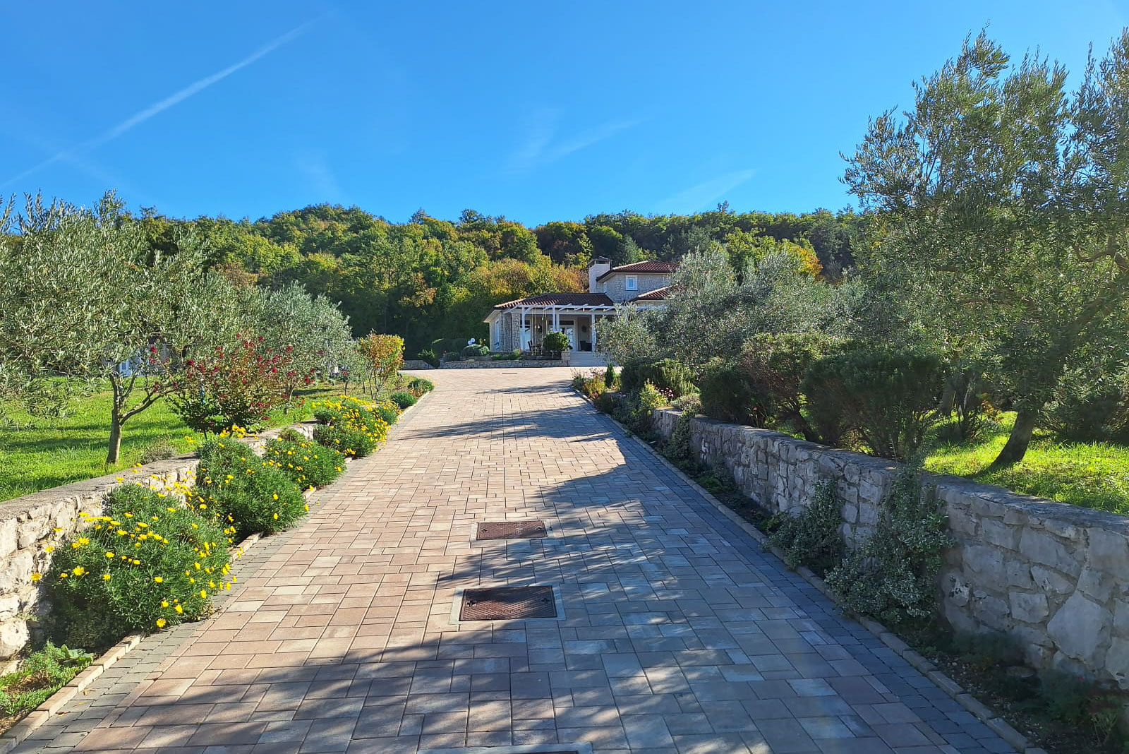 private boutique wedding villa in Istria surrounded by olive groves