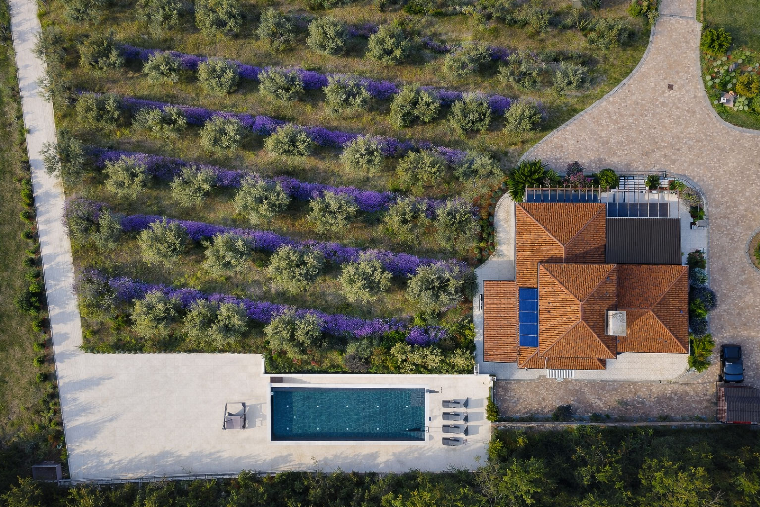 stone villa wedding venue in Istria with Mediterranean character
