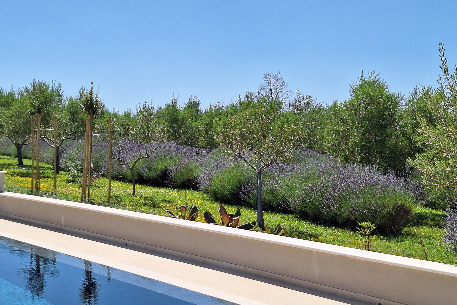 outdoor wedding spaces at a boutique villa in Istria